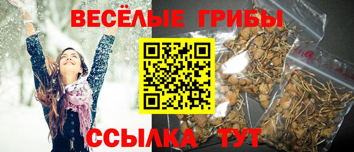 Галлюциногенные грибы мицелий Димитровград