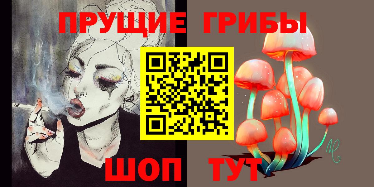 Псилоцибиновые грибы Cubensis  Вход с VPN  Димитровград 